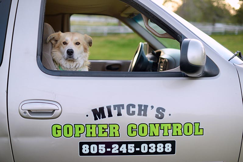 Gopher Control 1