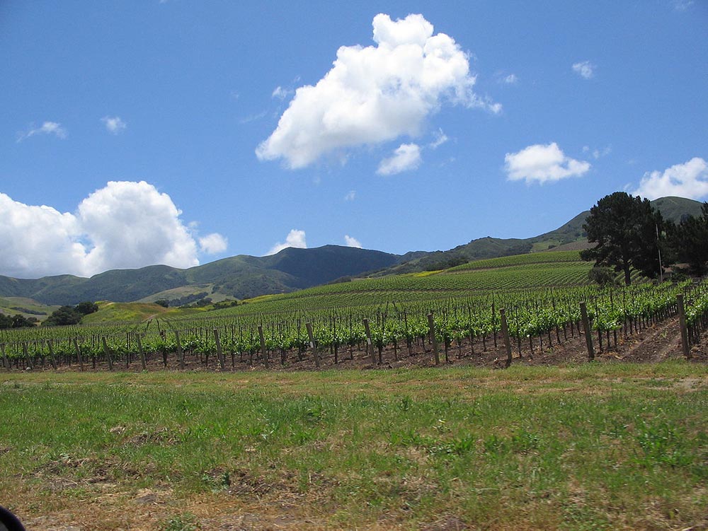 Santa Ynez Valley